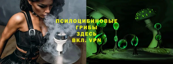 a pvp Горняк