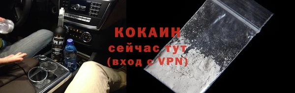 a pvp Горняк