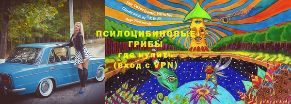 мдпв Волосово
