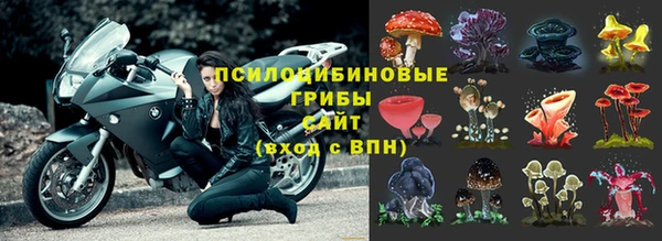мдпв Волосово