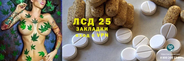 стафф Володарск