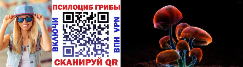 Галлюциногенные грибы мицелий  Завитинск 