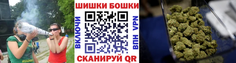 Марихуана план  купить закладку  Завитинск 